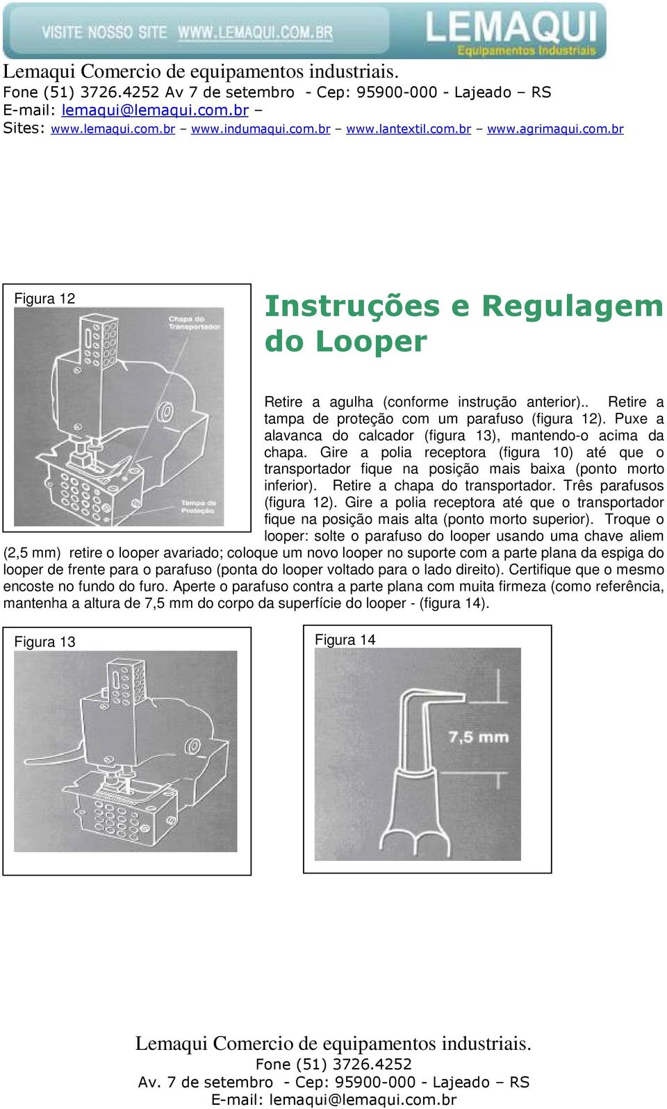 Retire a chapa do transportador. Três parafusos (figura 12). Gire a polia receptora até que o transportador fique na posição mais alta (ponto morto superior).