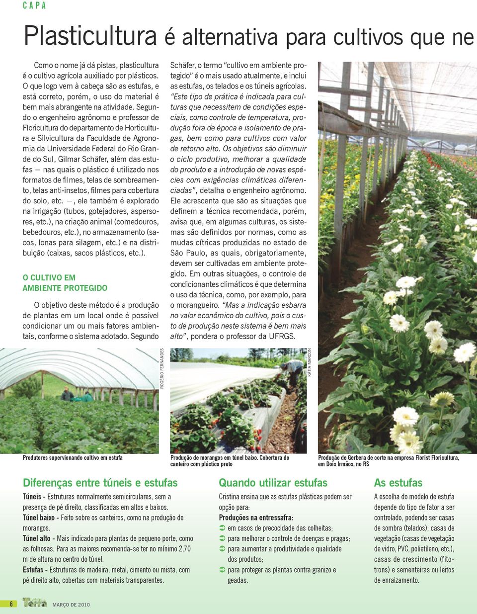 Se gundo o engenheiro agrônomo e professor de Floricultura do departamento de Horticultura e Silvicultura da Faculdade de Agronomia da Universidade Federal do Rio Grande do Sul, Gilmar Schäfer, além