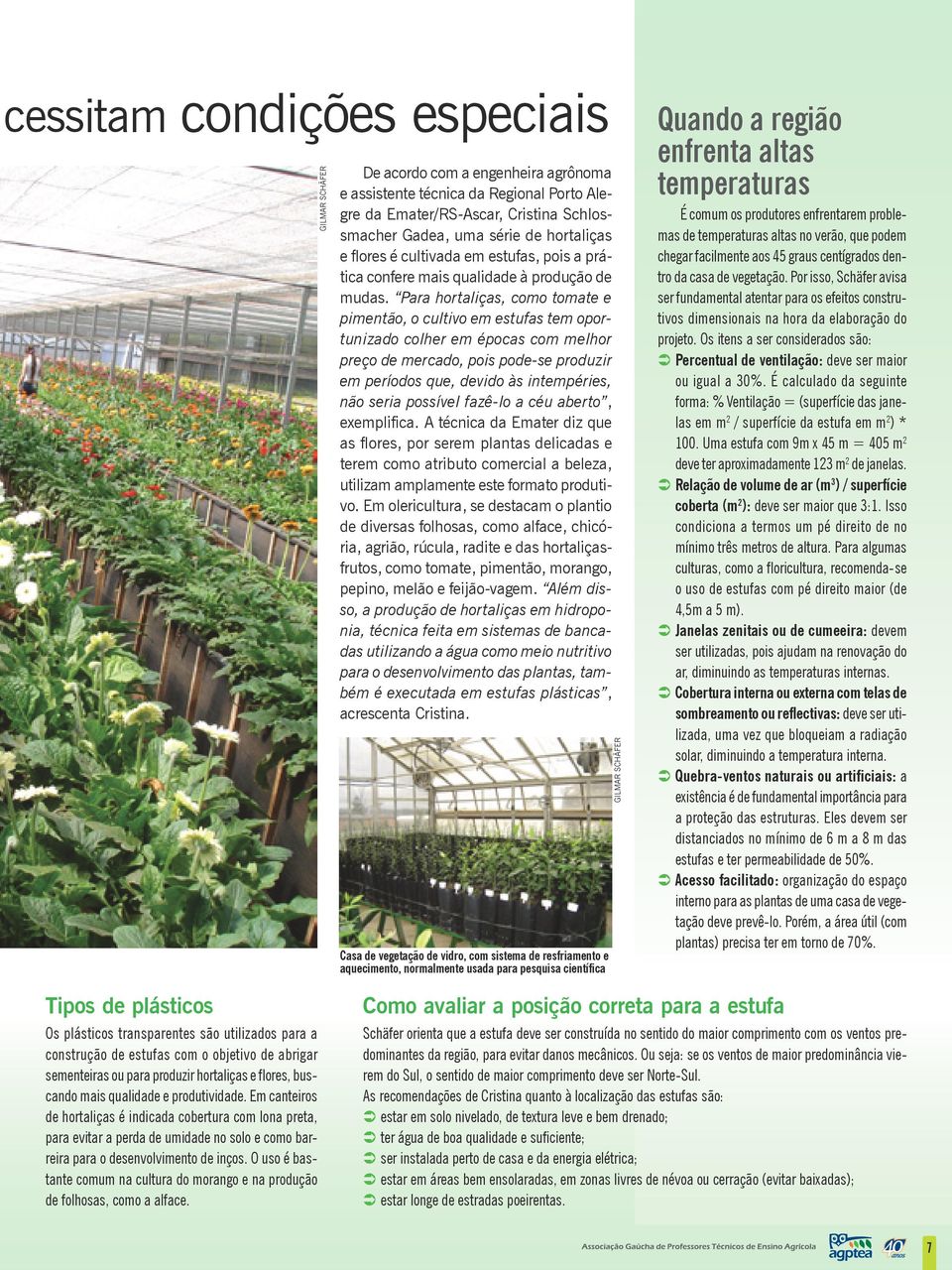 Para hortaliças, como tomate e pimentão, o cultivo em estufas tem oportunizado colher em épocas com melhor preço de mercado, pois pode-se produzir em períodos que, devido às intempéries, não seria