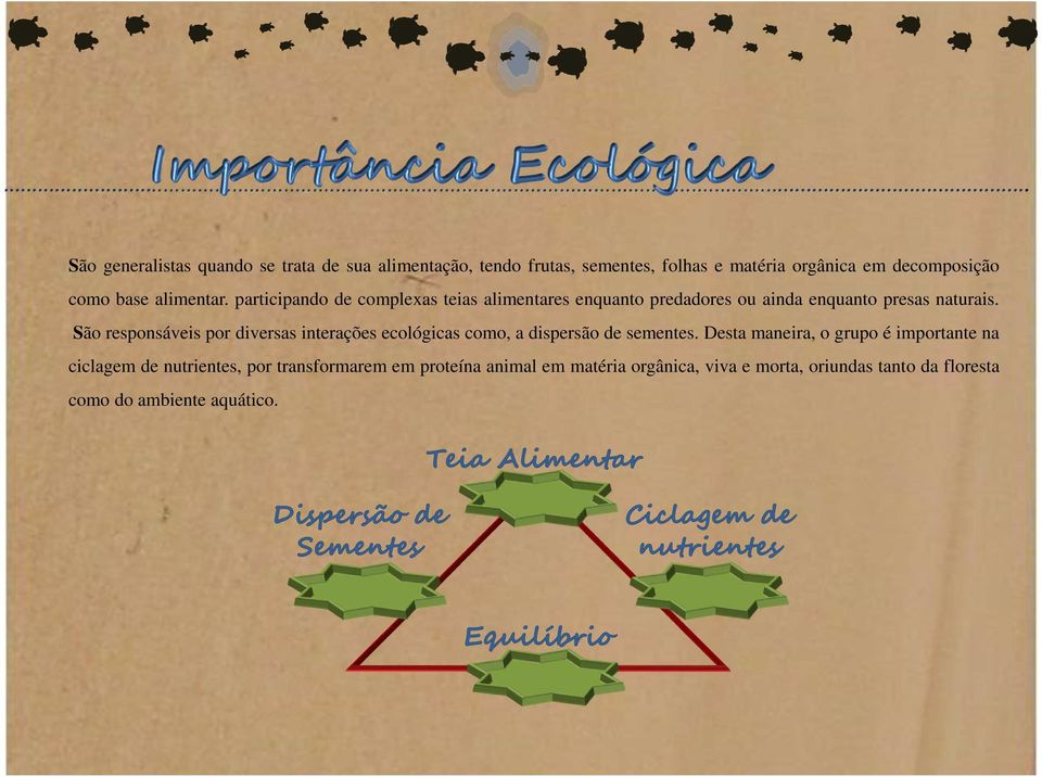 São responsáveis por diversas interações ecológicas como, a dispersão de sementes.