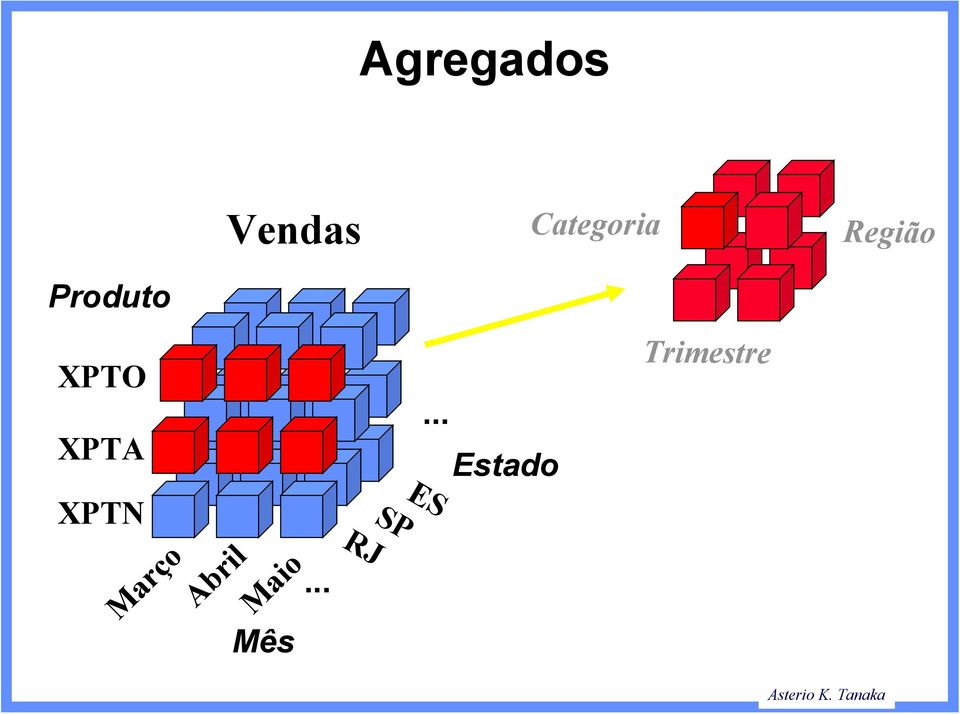 XPTN Março Abril Maio Mês.