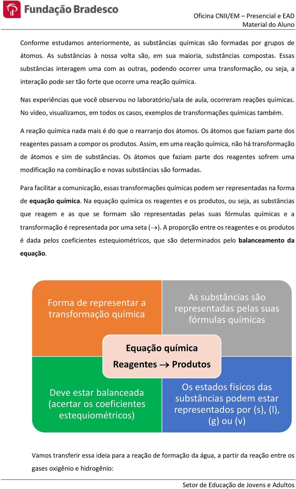 Nas experiências que você observou no laboratório/sala de aula, ocorreram reações químicas. No vídeo, visualizamos, em todos os casos, exemplos de transformações químicas também.