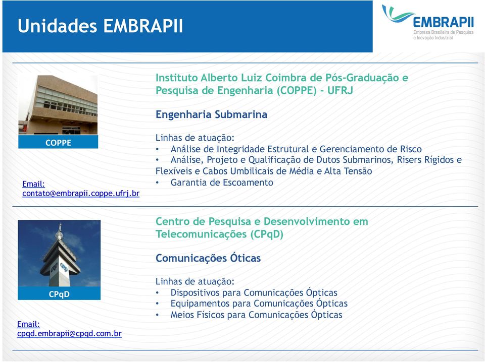 br Análise de Integridade Estrutural e Gerenciamento de Risco Análise, Projeto e Qualificação de Dutos Submarinos, Risers Rígidos e Flexíveis e Cabos