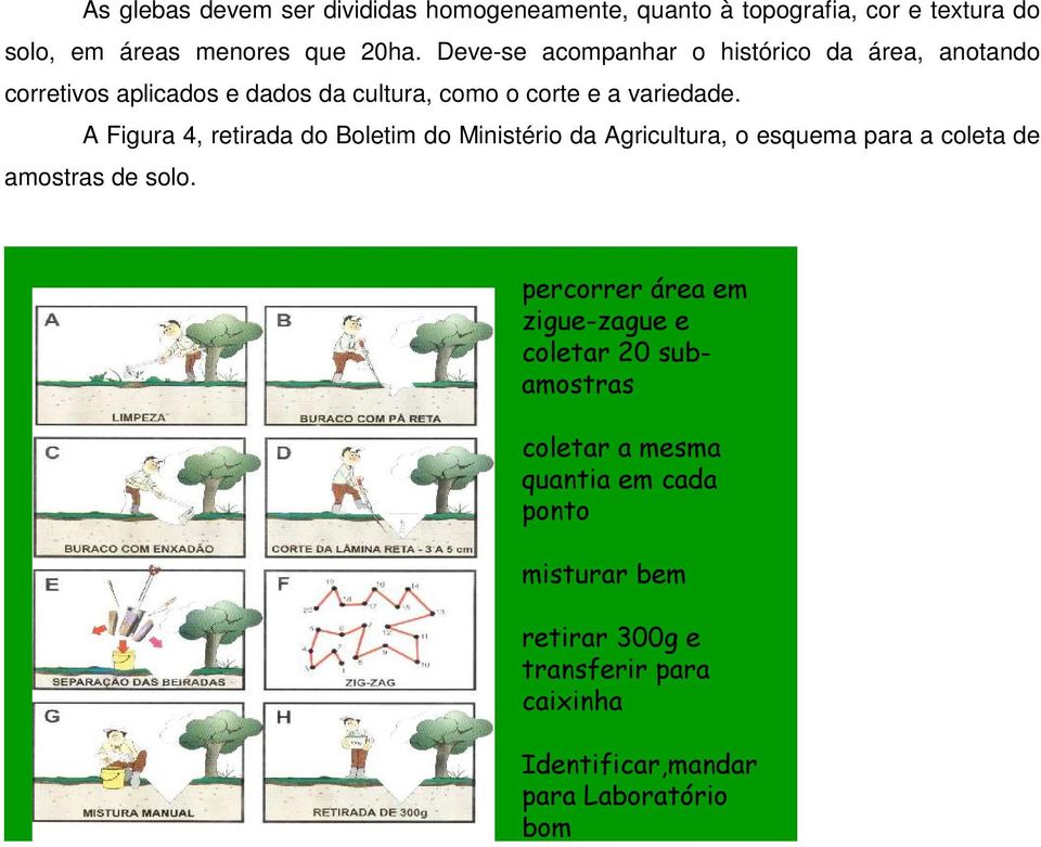 A Figura 4, retirada do Boletim do Ministério da Agricultura, o esquema para a coleta de amostras de solo.