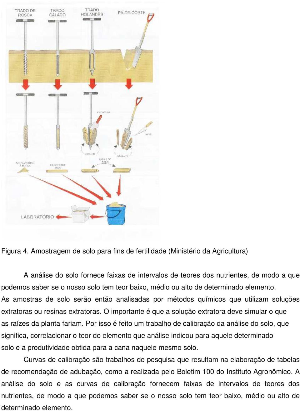 baixo, médio ou alto de determinado elemento. As amostras de solo serão então analisadas por métodos químicos que utilizam soluções extratoras ou resinas extratoras.