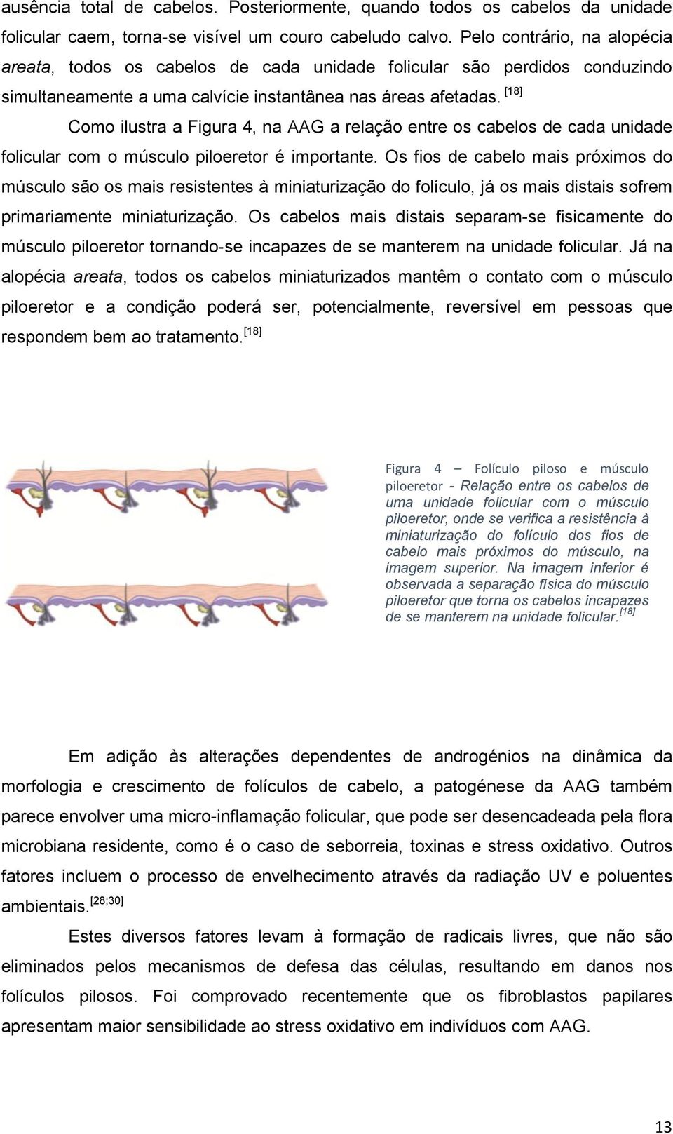 [18] Como ilustra a Figura 4, na AAG a relação entre os cabelos de cada unidade folicular com o músculo piloeretor é importante.