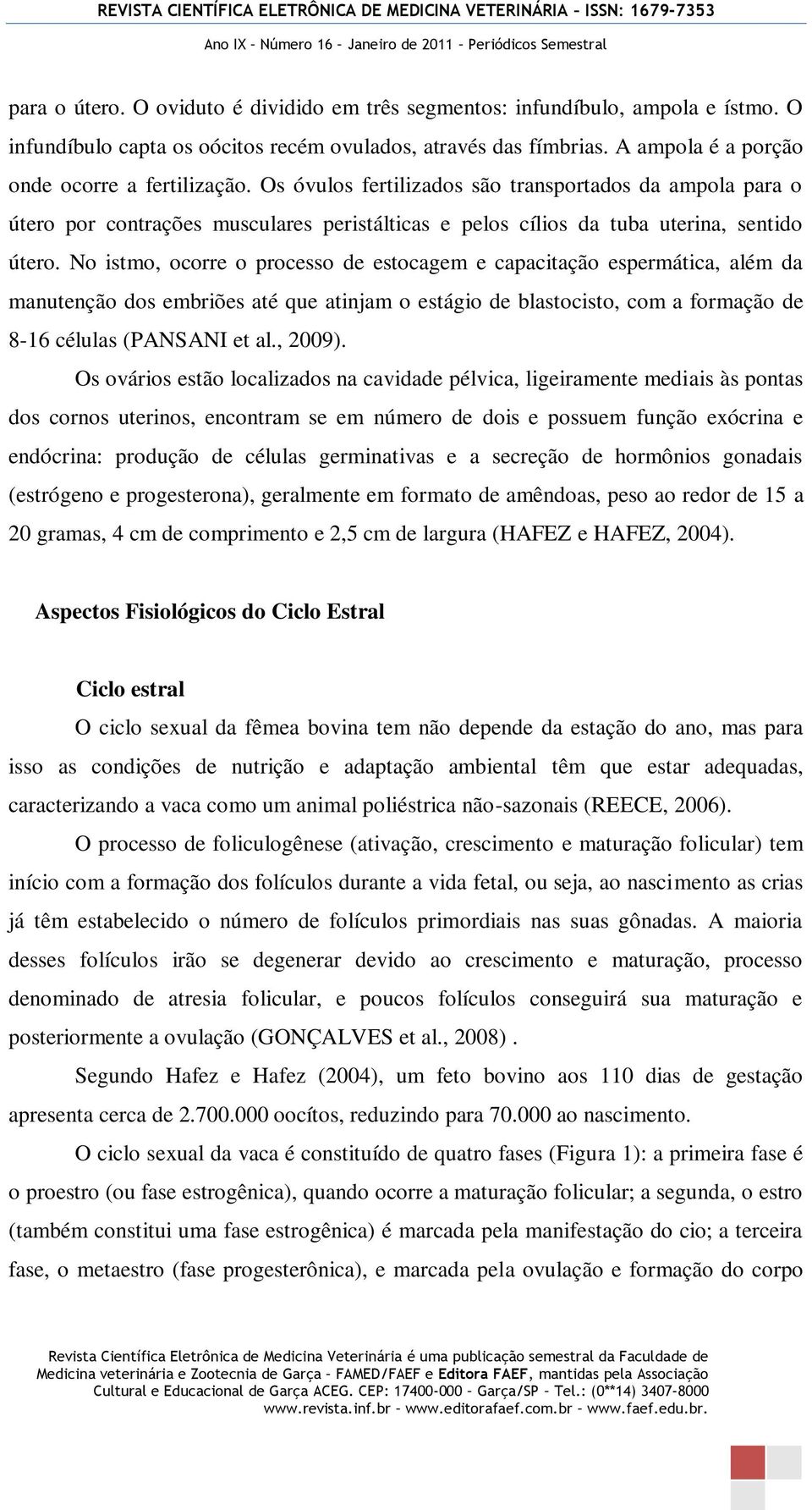 No istmo, ocorre o processo de estocagem e capacitação espermática, além da manutenção dos embriões até que atinjam o estágio de blastocisto, com a formação de 8-16 células (PANSANI et al., 2009).