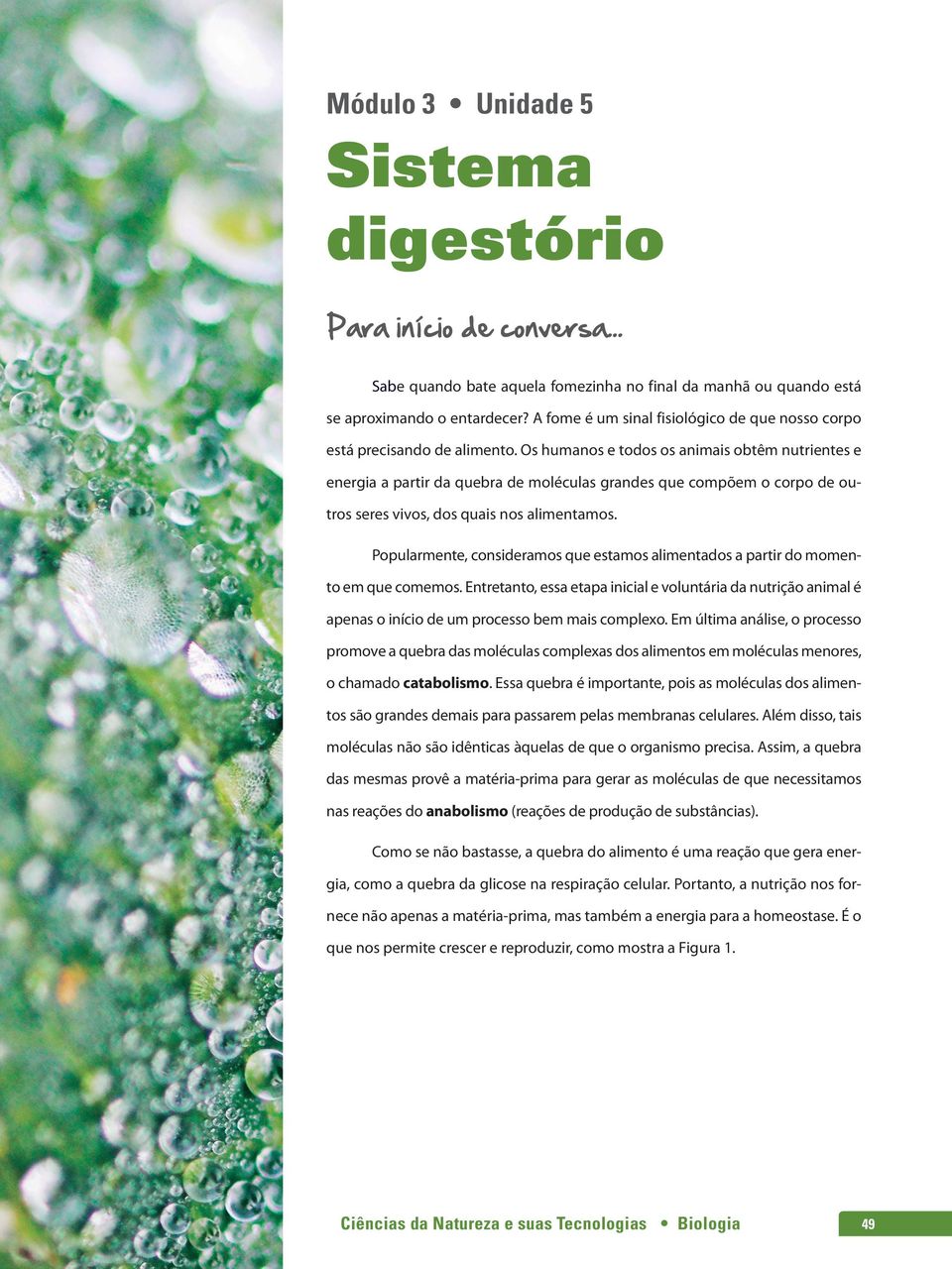 Os humanos e todos os animais obtêm nutrientes e energia a partir da quebra de moléculas grandes que compõem o corpo de outros seres vivos, dos quais nos alimentamos.