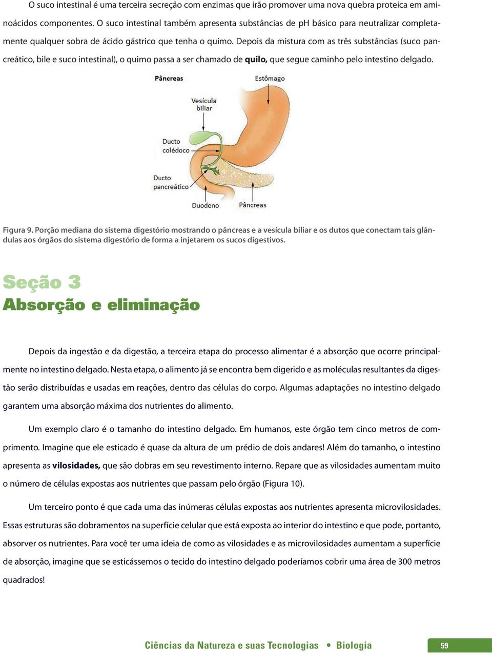 Depois da mistura com as três substâncias (suco pancreático, bile e suco intestinal), o quimo passa a ser chamado de quilo, que segue caminho pelo intestino delgado. Figura 9.