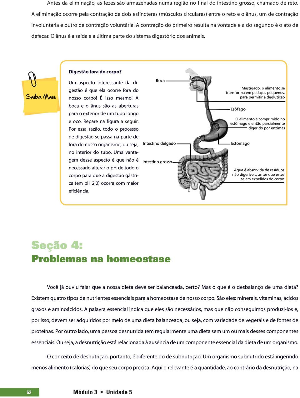 A contração do primeiro resulta na vontade e a do segundo é o ato de defecar. O ânus é a saída e a última parte do sistema digestório dos animais. Digestão fora do corpo?