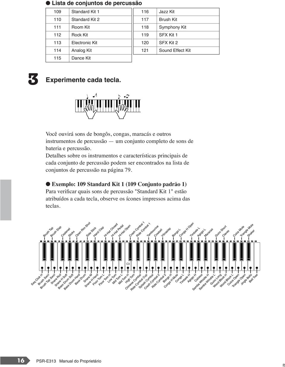 Detalhes sobre os instrumentos e características principais de cada conjunto de percussão podem ser encontrados na lista de conjuntos de percussão na página 79.