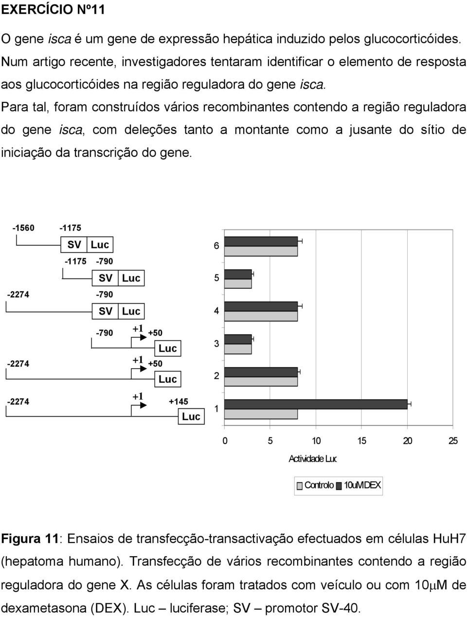 Para tal, foram construídos vários recombinantes contendo a região reguladora do gene isca, com deleções tanto a montante como a jusante do sítio de iniciação da transcrição do gene.