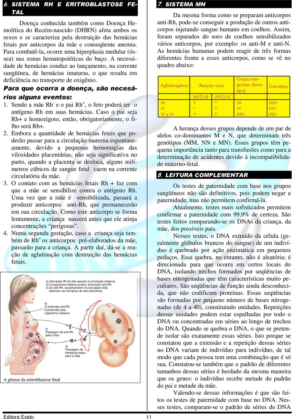 necessidade de hemácias conduz ao lançamento, na corrente sangüínea, de hemácias imaturas, o que resulta em deficiência no transporte de oxigênio.