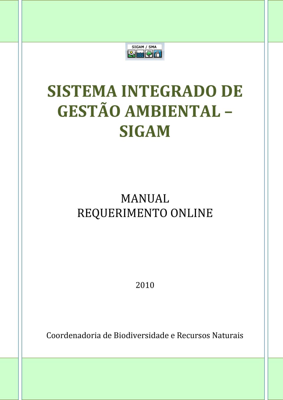 REQUERIMENTO ONLINE 2010