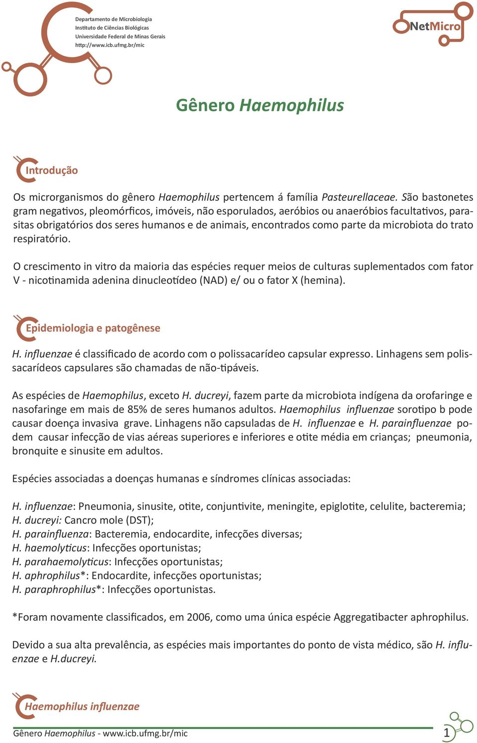 São bastonetes gram negativos, pleomórficos, imóveis, não esporulados, aeróbios ou anaeróbios facultativos, parasitas obrigatórios dos seres humanos e de animais, encontrados como parte da microbiota