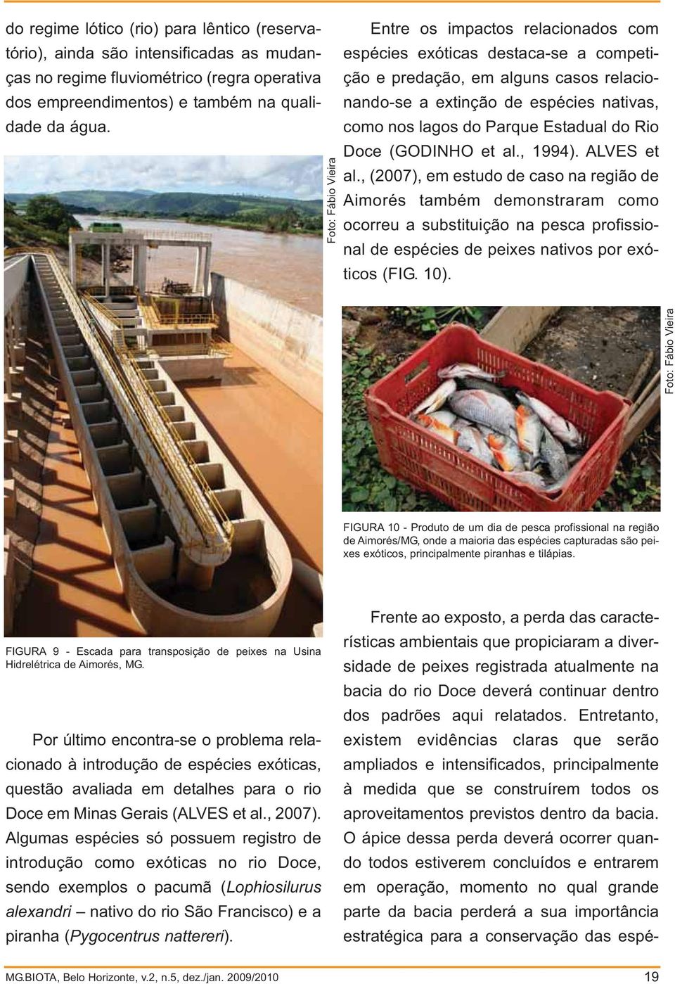Estadual do Rio Doce (GODINHO et al., 1994). ALVES et al.