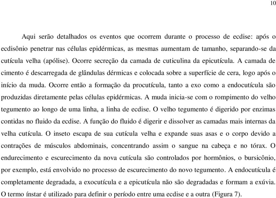 Ocorre então a formação da procutícula, tanto a exo como a endocutícula são produzidas diretamente pelas células epidérmicas.