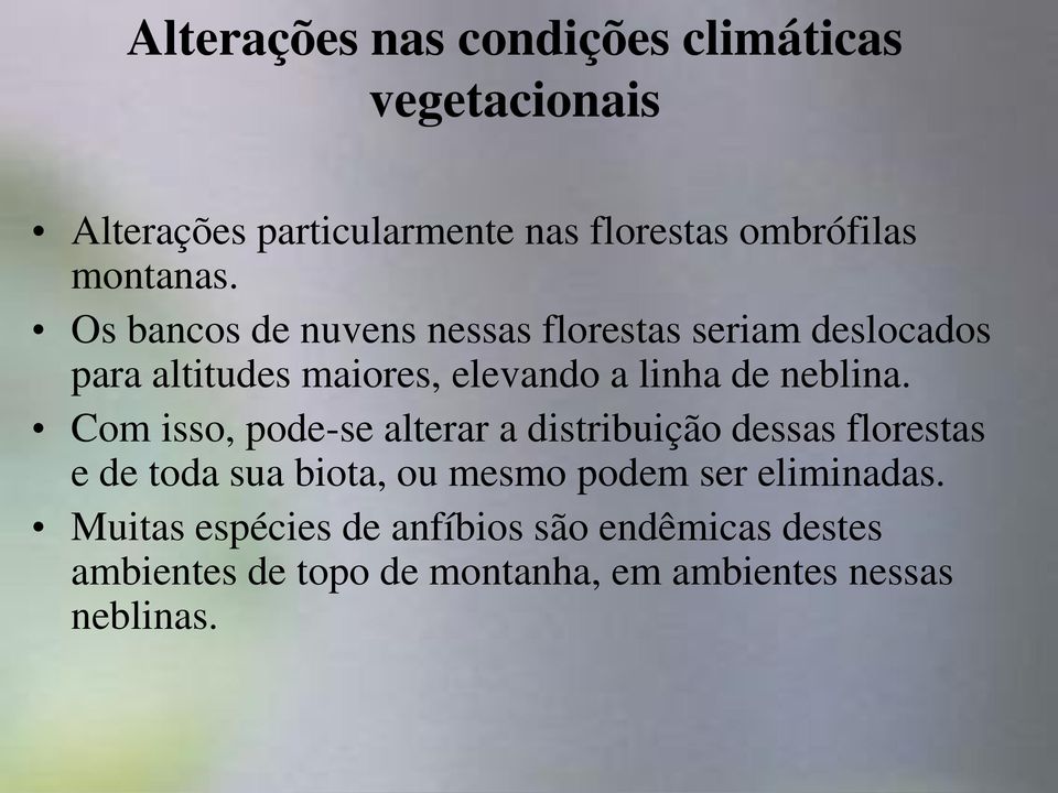 Os bancos de nuvens nessas florestas seriam deslocados para altitudes maiores, elevando a linha de neblina.