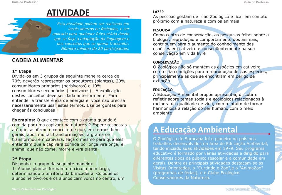 1 Etapa Divida-os em 3 grupos da seguinte maneira cerca de 70% deverão representar os produtores (plantas), 20% consumidores primários (herbívoros) e 10% consumidores secundários (carnívoros).