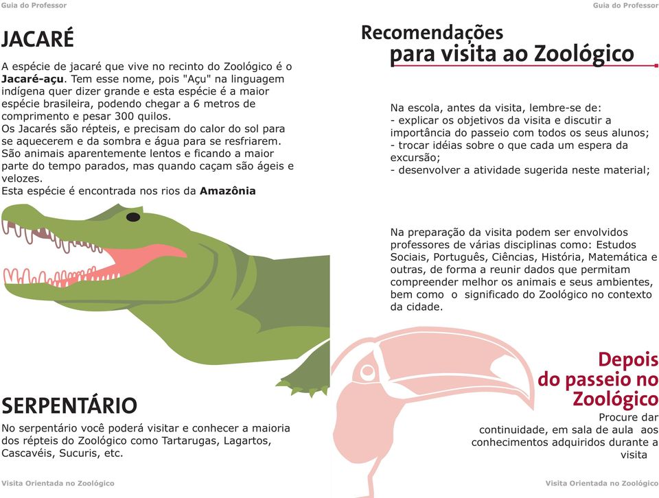 Os Jacarés são répteis, e precisam do calor do sol para se aquecerem e da sombra e água para se resfriarem.