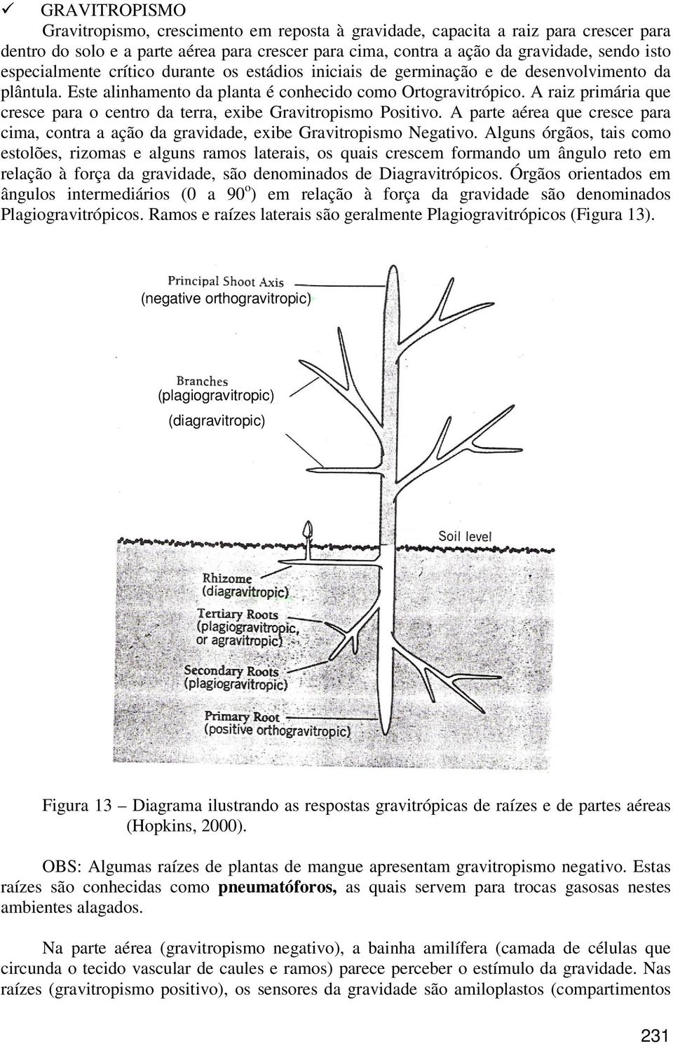 A raiz primária que cresce para o centro da terra, exibe Gravitropismo Positivo. A parte aérea que cresce para cima, contra a ação da gravidade, exibe Gravitropismo Negativo.