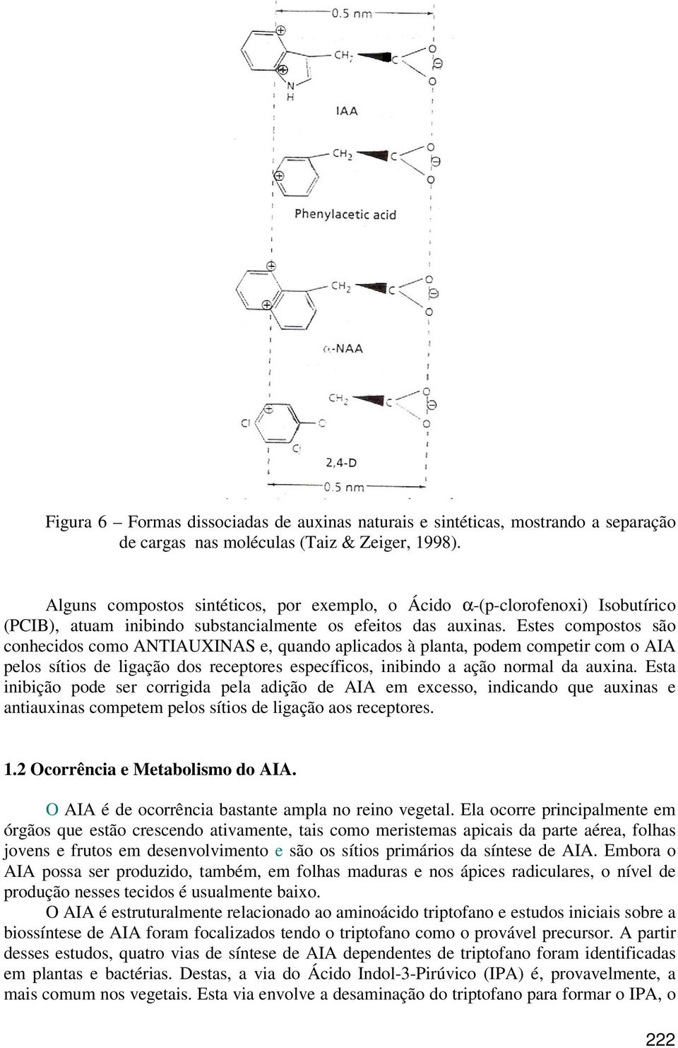 Estes compostos são conhecidos como ANTIAUXINAS e, quando aplicados à planta, podem competir com o AIA pelos sítios de ligação dos receptores específicos, inibindo a ação normal da auxina.