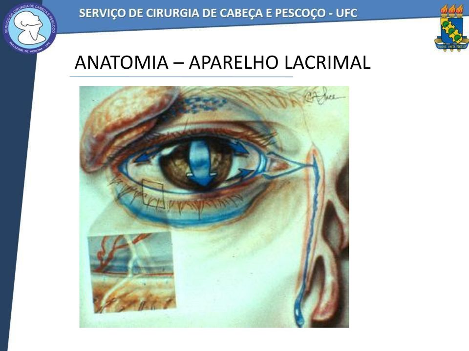 LACRIMAL