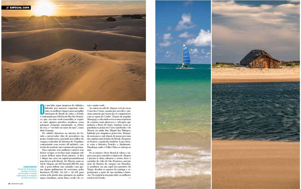 paisagens sertanejas amenizando os efeitos da seca, e vai bater no meio do mar, como diria Gonzaga.