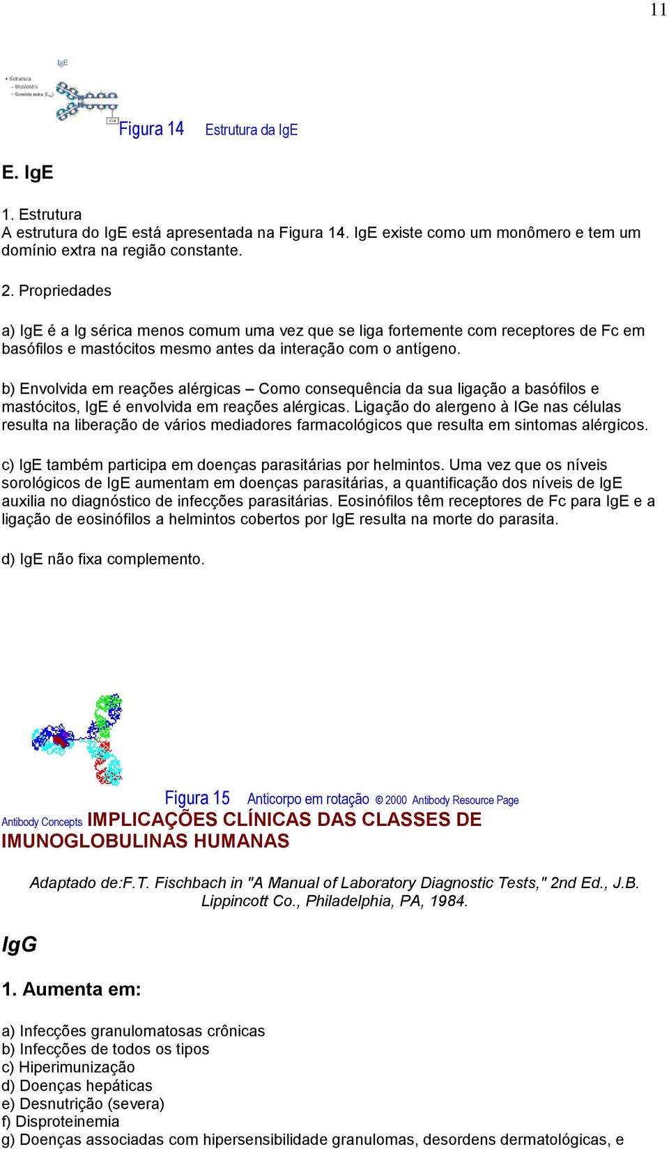 b) Envolvida em reações alérgicas Como consequência da sua ligação a basófilos e mastócitos, IgE é envolvida em reações alérgicas.