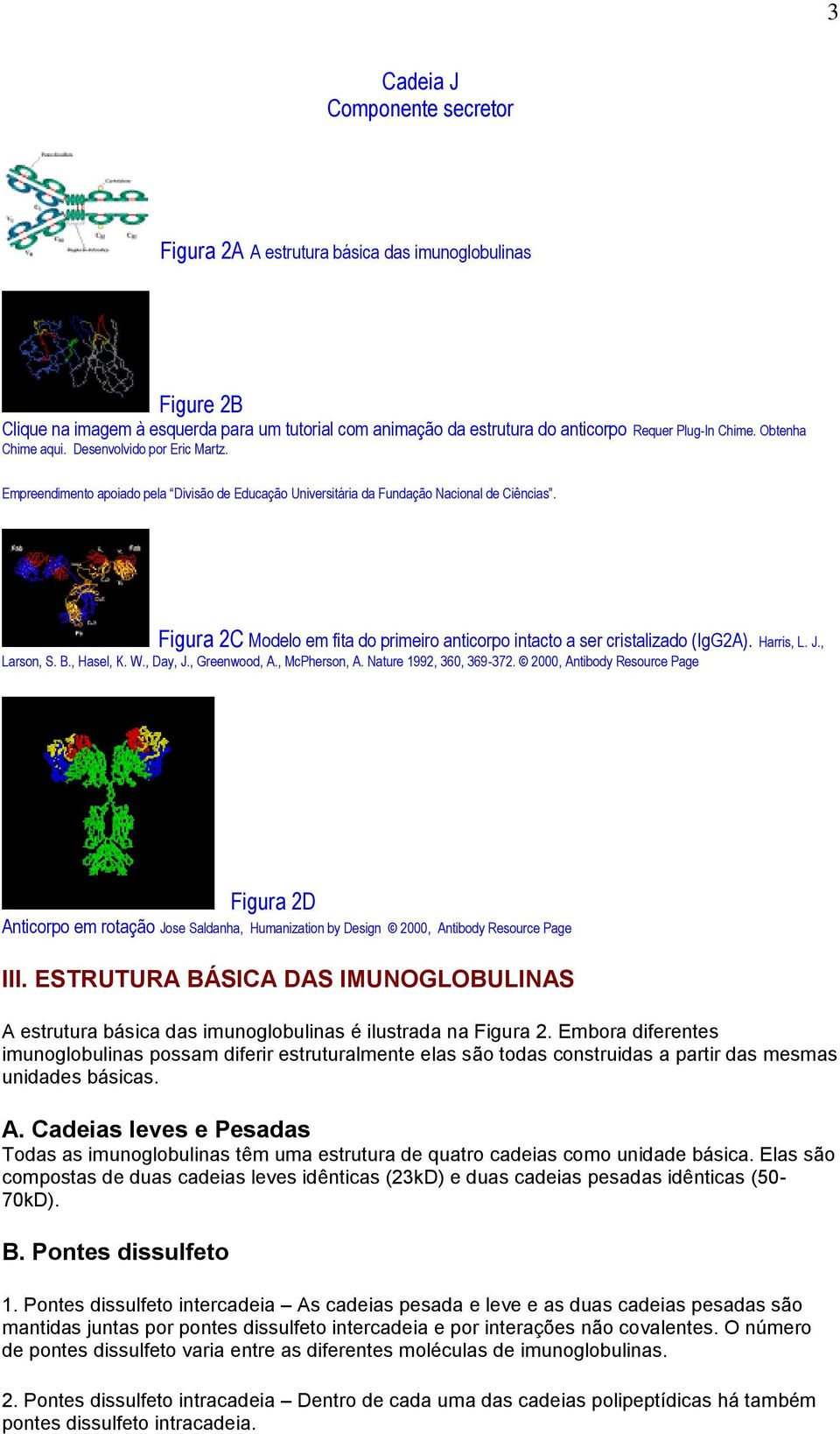 Figura 2C Modelo em fita do primeiro anticorpo intacto a ser cristalizado (IgG2A). Harris, L. J., Larson, S. B., Hasel, K. W., Day, J., Greenwood, A., McPherson, A. Nature 1992, 360, 369-372.