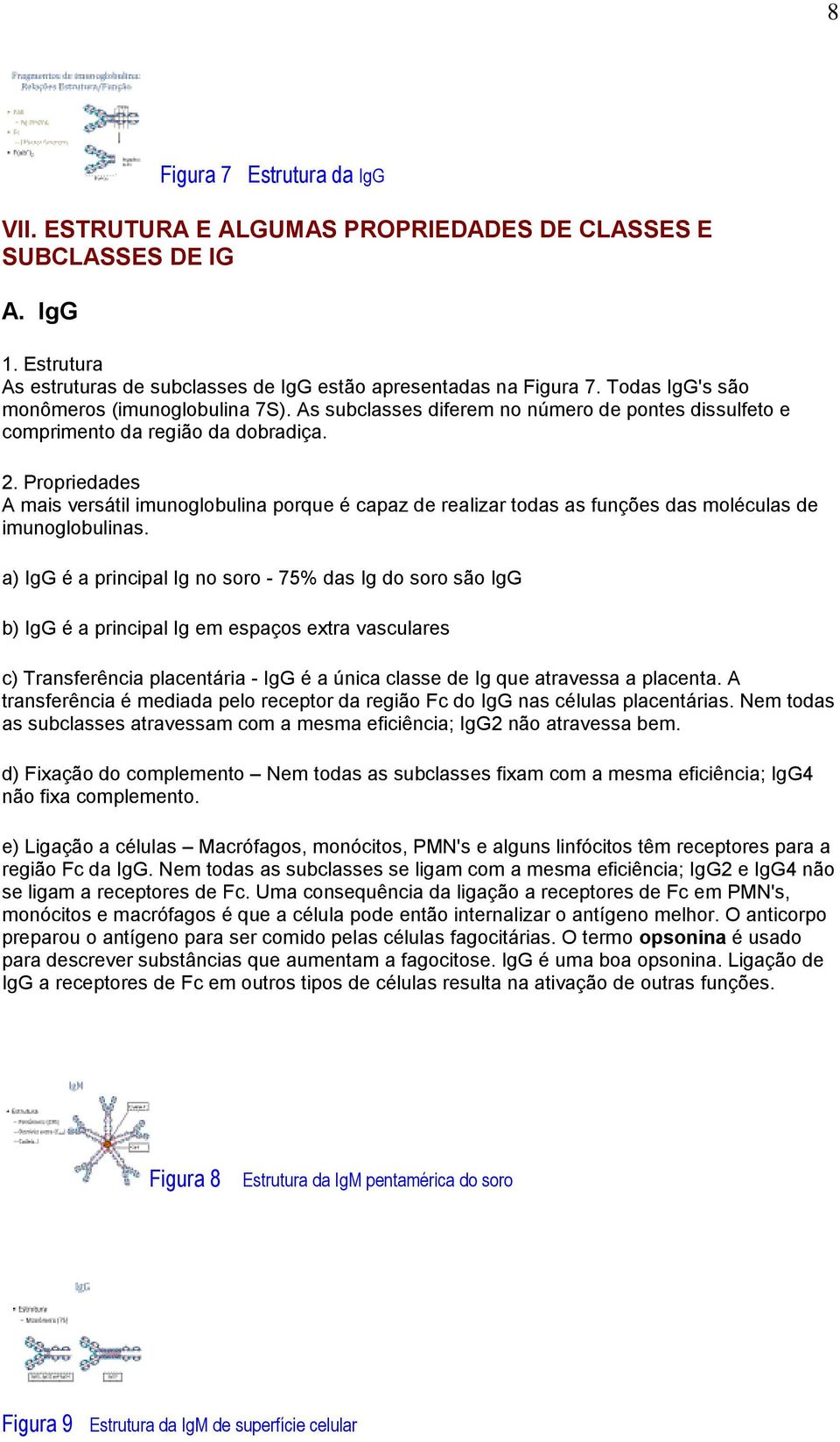 Propriedades A mais versátil imunoglobulina porque é capaz de realizar todas as funções das moléculas de imunoglobulinas.