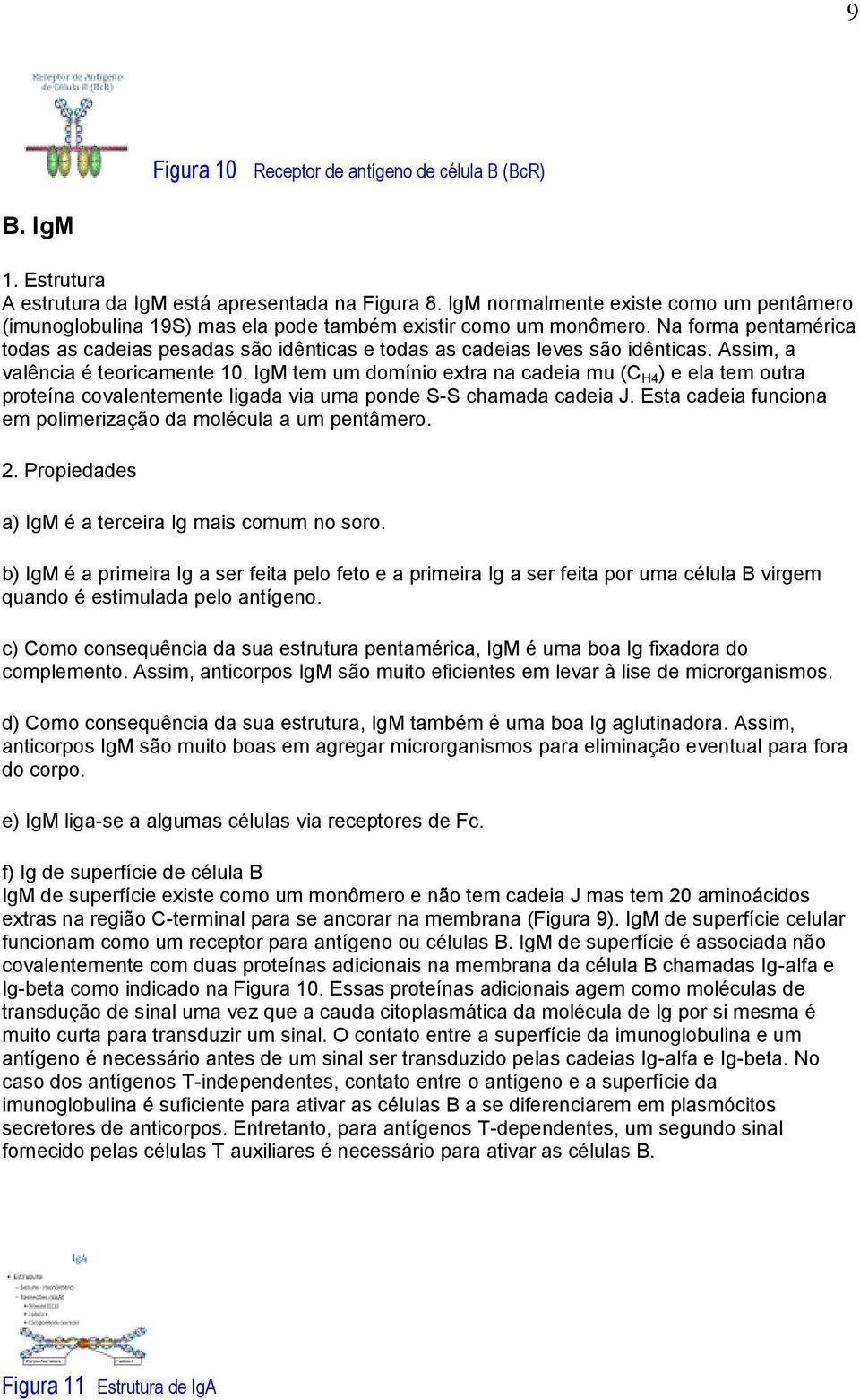 Na forma pentamérica todas as cadeias pesadas são idênticas e todas as cadeias leves são idênticas. Assim, a valência é teoricamente 10.