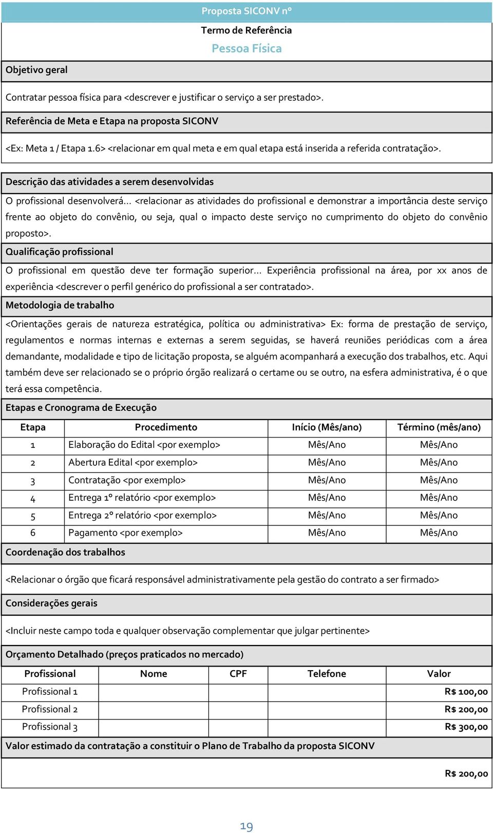 Descrição das atividades a serem desenvolvidas O profissional desenvolverá.