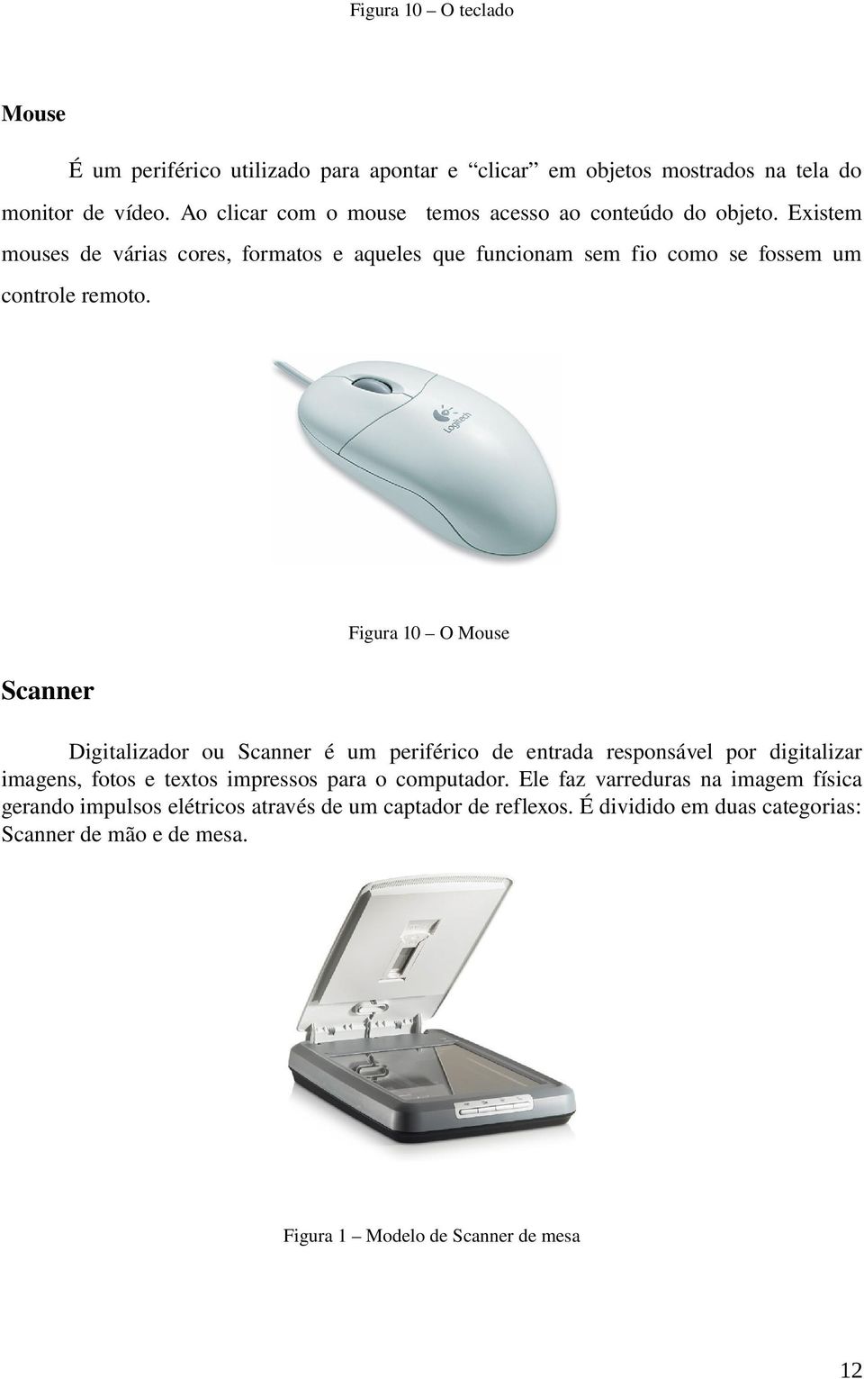 Existem mouses de várias cores, formatos e aqueles que funcionam sem fio como se fossem um controle remoto.