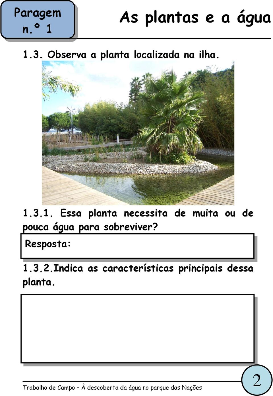 3.1. Essa planta necessita de muita ou de pouca água para