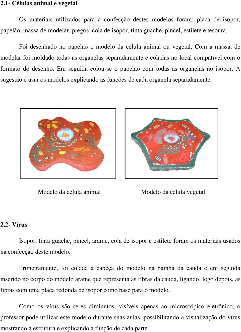 Em seguida colou-se o papelão com todas as organelas no isopor. A sugestão é usar os modelos explicando as funções de cada organela separadamente. Modelo da célula animal Modelo da célula vegetal 2.