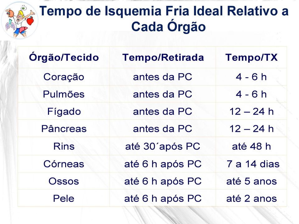 24 h Pâncreas antes da PC 12 24 h Rins até 30 após PC até 48 h Córneas até 6 h