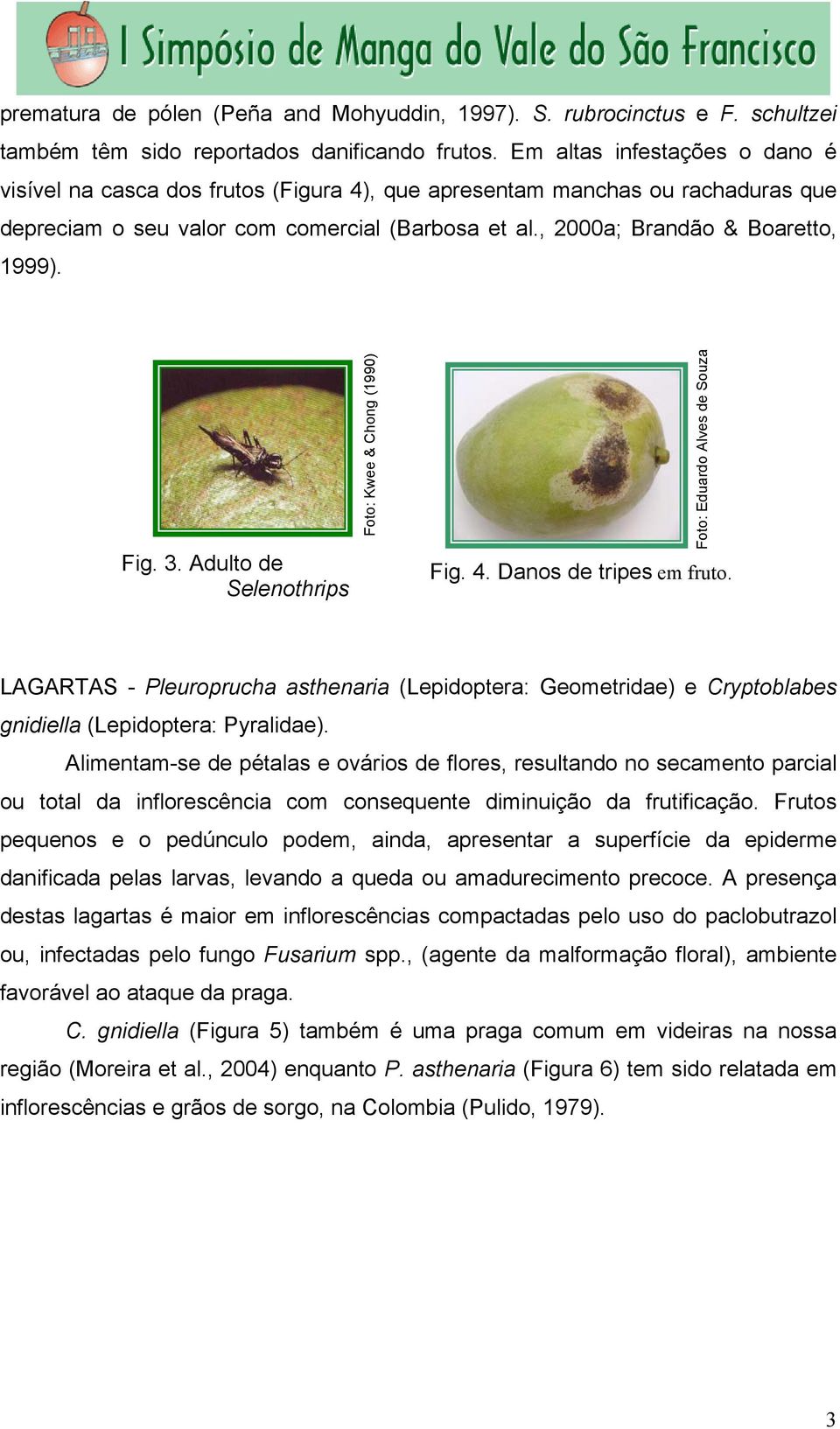 Fig. 3. Adulto de Selenothrips Foto: Kwee & Chong (1990) Foto: Eduardo Alves de Souza Fig. 4. Danos de tripes em fruto.