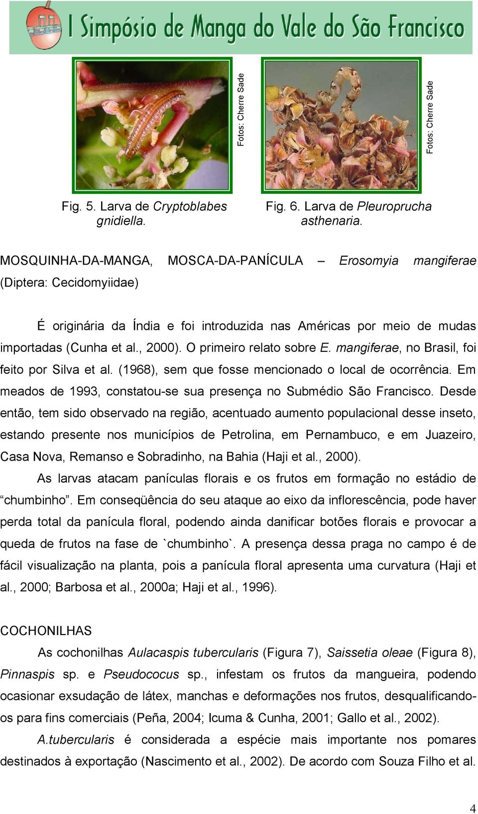 O primeiro relato sobre E. mangiferae, no Brasil, foi feito por Silva et al. (1968), sem que fosse mencionado o local de ocorrência.
