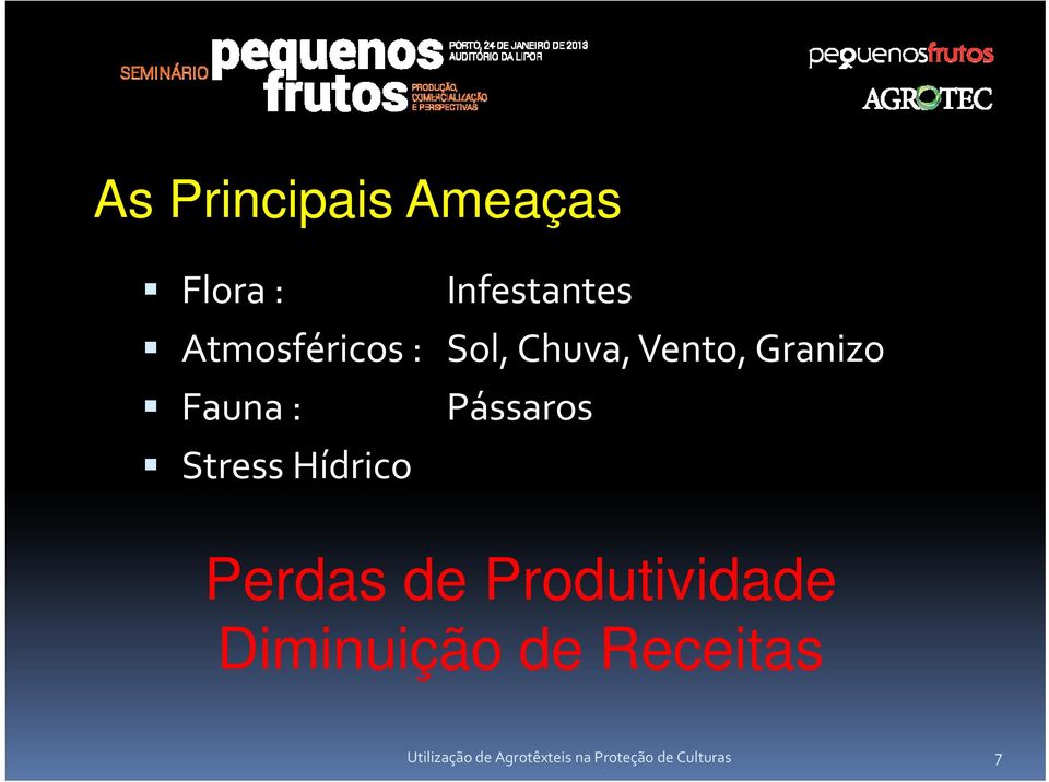 Pássaros Stress Hídrico Perdas de Produtividade