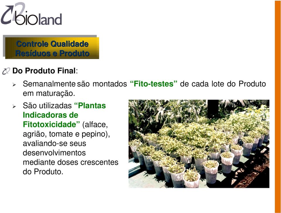 São utilizadas Plantas Indicadoras de Fitotoxicidade (alface, agrião,