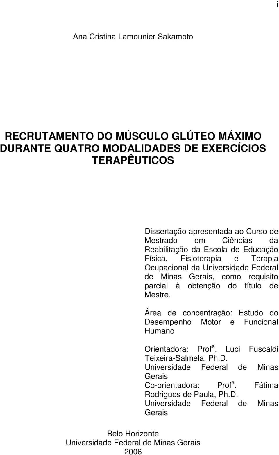 Universidade Federal de Minas Gerais, como requisito parcial à obtenção do título de Mestre.