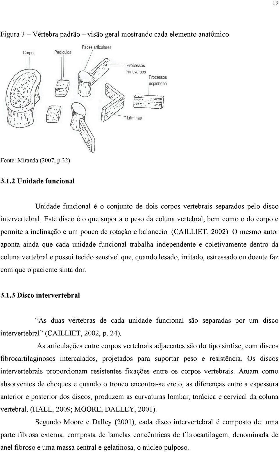 O mesmo autor aponta ainda que cada unidade funcional trabalha independente e coletivamente dentro da coluna vertebral e possui tecido sensível que, quando lesado, irritado, estressado ou doente faz