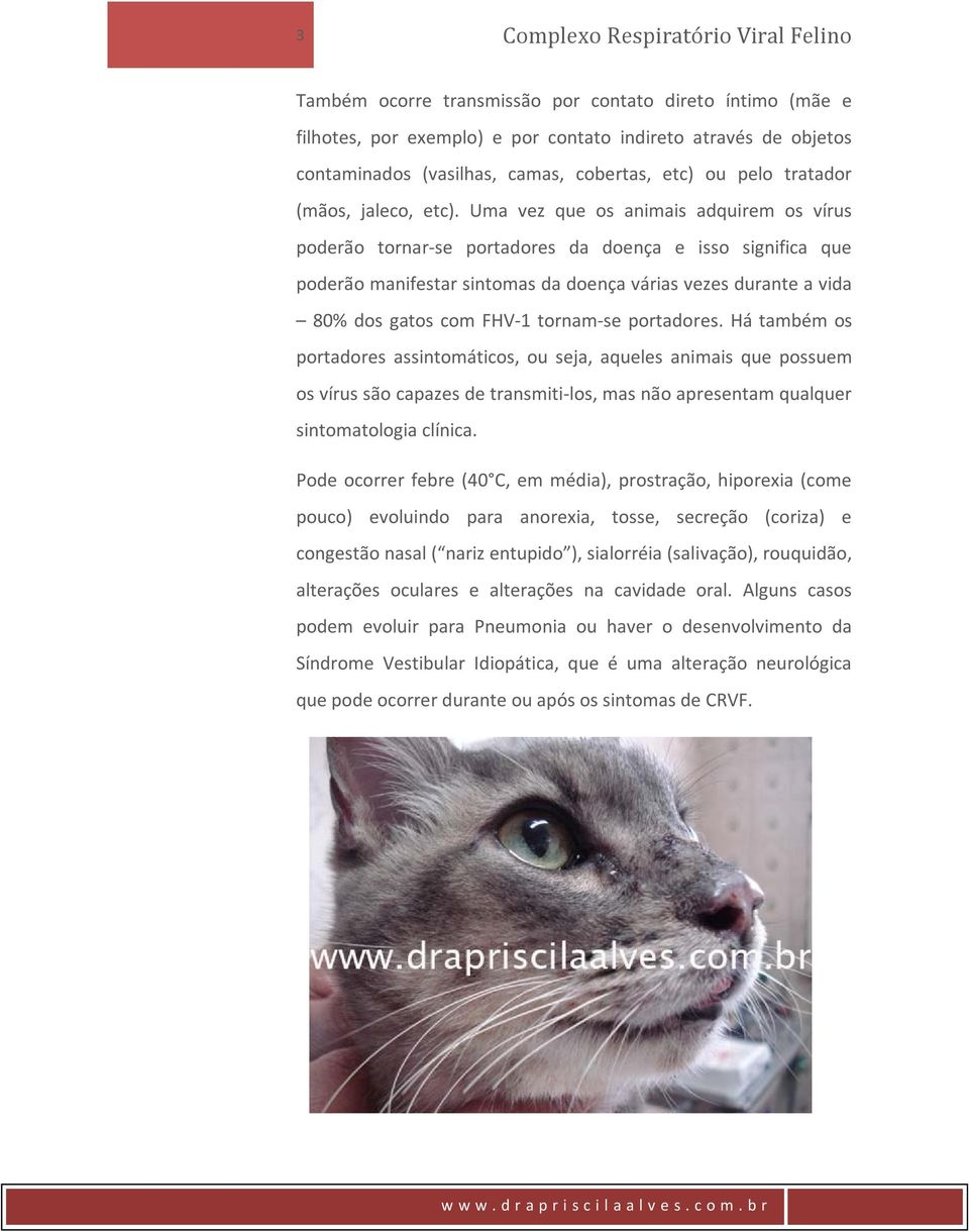 Uma vez que os animais adquirem os vírus poderão tornar-se portadores da doença e isso significa que poderão manifestar sintomas da doença várias vezes durante a vida 80% dos gatos com FHV-1