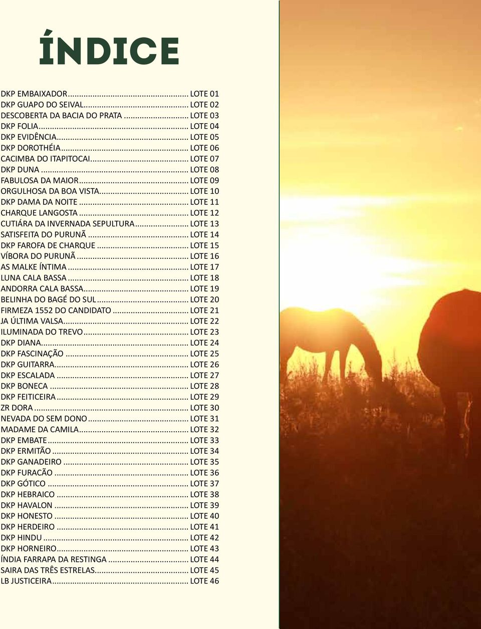 .. LOTE 13 SATISFEITA DO PURUNÃ... LOTE 14 DKP FAROFA DE CHARQUE... LOTE 15 VÍBORA DO PURUNÃ... LOTE 16 AS MALKE ÍNTIMA... LOTE 17 LUNA CALA BASSA... LOTE 18 ANDORRA CALA BASSA.