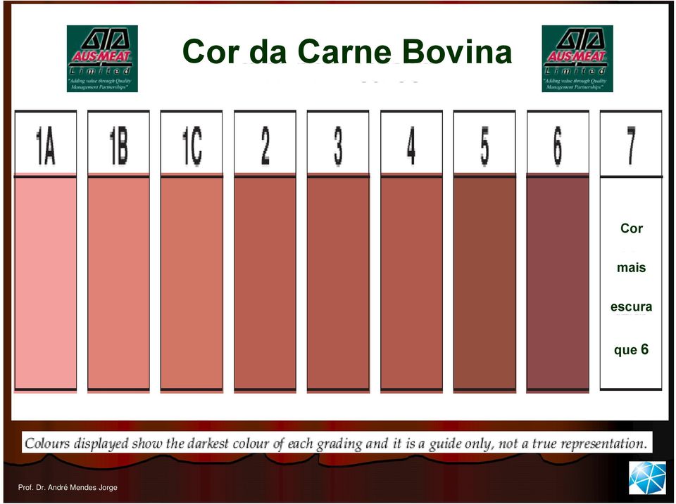 Bovina Cor