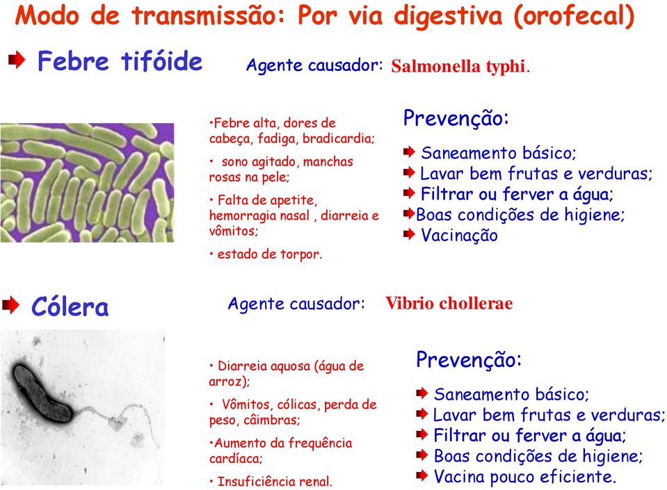 Saneamento básico; Lavar bem frutas e verduras; Filtrar ou ferver a água; Boas condições de higiene; Vacinação Cólera Agente causador: Vibrio chollerae Diarreia