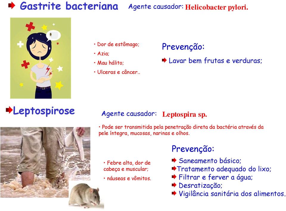 Pode ser transmitida pela penetração direta da bactéria através da pele íntegra, mucosas, narinas e olhos.