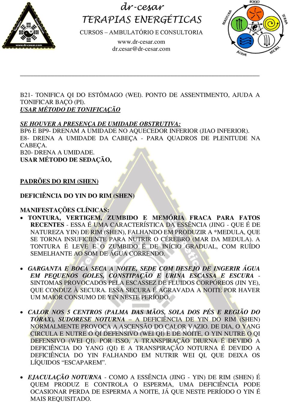 E8- DRENA A UMIDADE DA CABEÇA - PARA QUADROS DE PLENITUDE NA CABEÇA. B20- DRENA A UMIDADE.