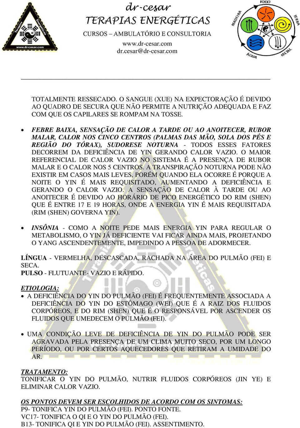 DEFICIÊNCIA DE YIN GERANDO CALOR VAZIO. O MAIOR REFERENCIAL DE CALOR VAZIO NO SISTEMA É A PRESENÇA DE RUBOR MALAR E O CALOR NOS 5 CENTROS.